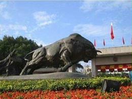 2020年：环卫市场的战略要地——深圳