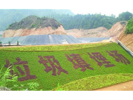 治理1m?垃圾需要花528元，垃圾填埋到底有多“贵”？