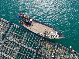 海上环卫市场东风已至！7部门联合印发《重点海域综合治理攻坚战行动方案》