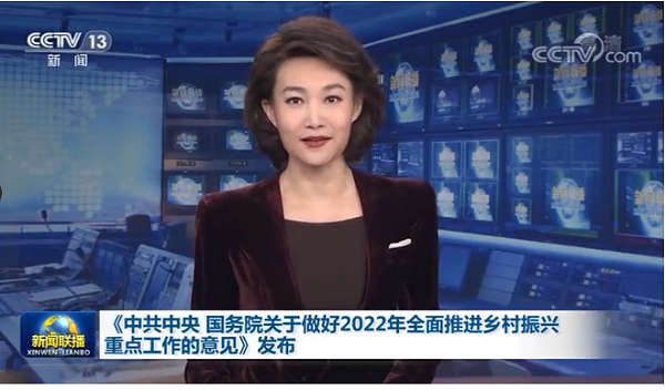 国务院关于做好2022年全面推进乡村振兴重点工作的意见