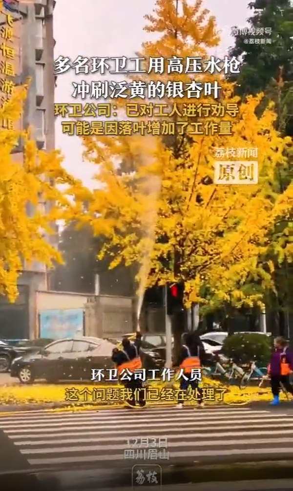 沐鸣娱乐环保：环卫工用高压水枪冲刷银杏叶
