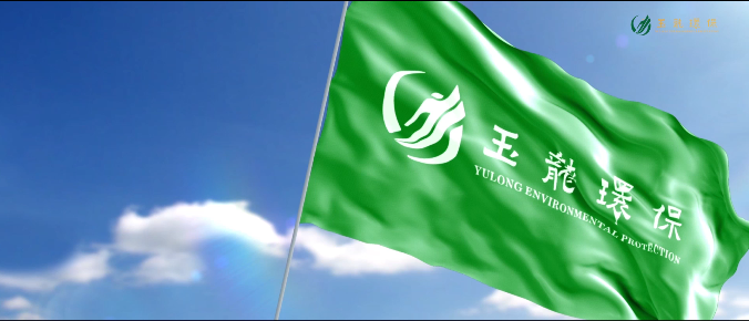 10鐜夐緳鏃楀笢-鐜夐緳鐜繚