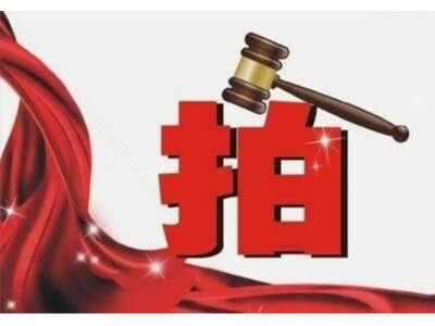 鍐嶇幇鐜崼缁忚惀鏉冣€滄媿鍗栤€濋」鐩