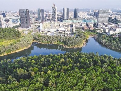 娣卞湷甯傞緳宀楀尯骞虫箹琛楅亾娓呮壂娓呰繍鍙婅浆杩愮珯绠＄悊鏈嶅姟椤圭洰