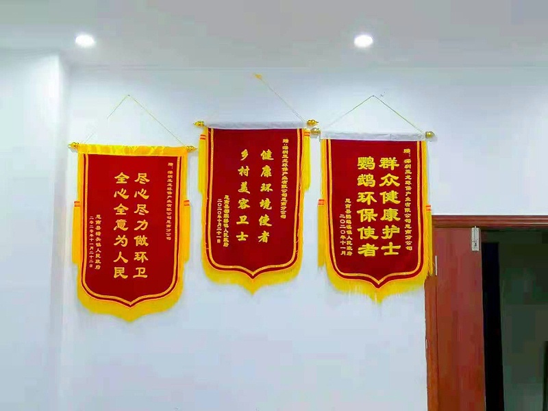 鎬濆崡鍘夸笁闀囨斂搴滆禒閫佺殑閿︽棗-鐜夐緳鐜繚